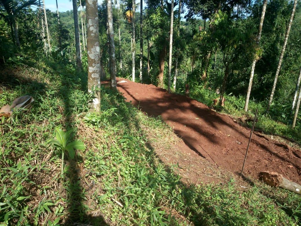 WhatsApp Image 2020-08-07 at 9.37.16 AM.jpeg